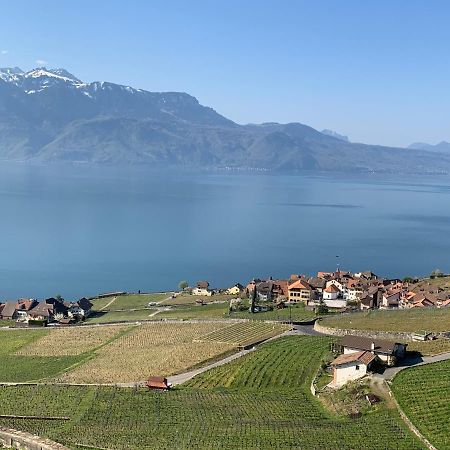La Gremillette Gourmande Lavaux Apartment Rivaz Екстериор снимка
