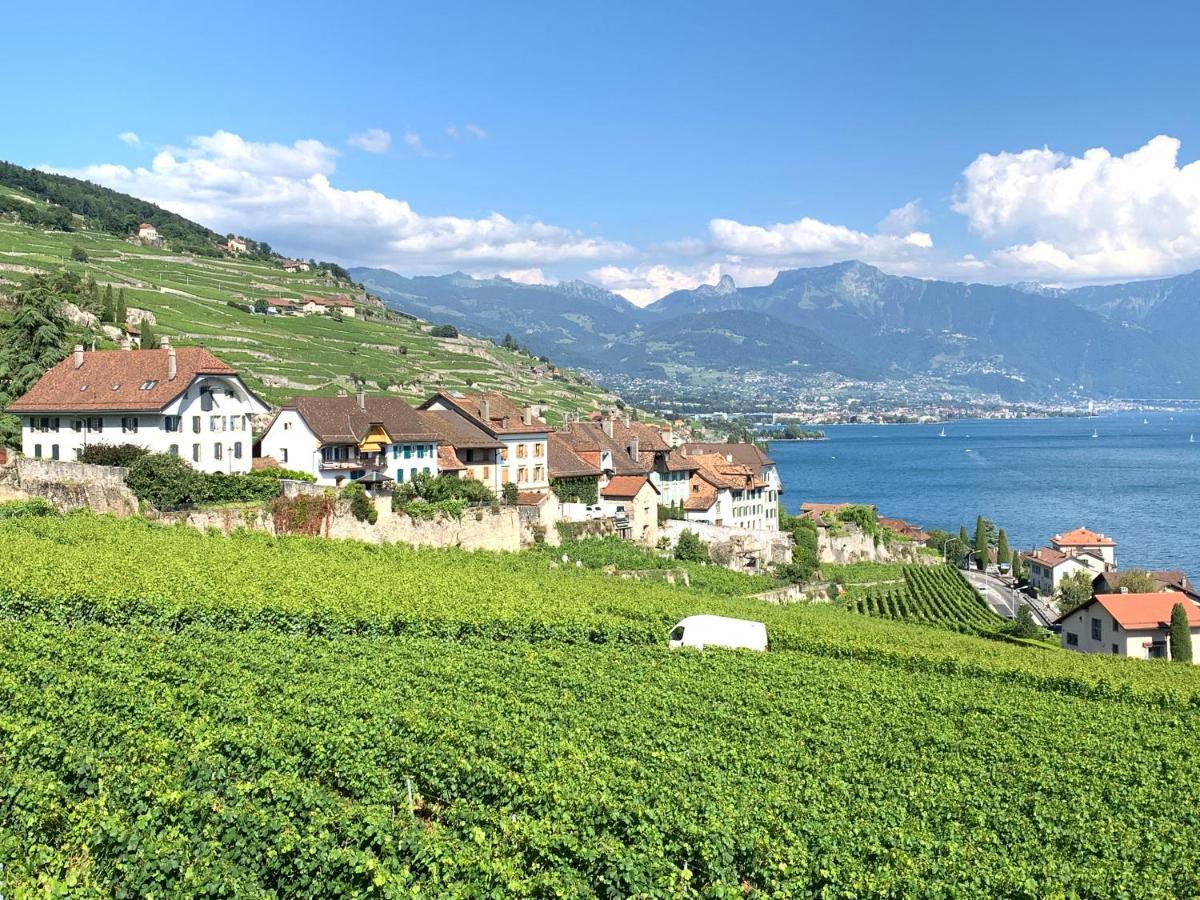 La Gremillette Gourmande Lavaux Apartment Rivaz Екстериор снимка