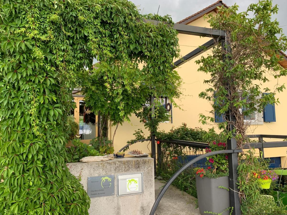 La Gremillette Gourmande Lavaux Apartment Rivaz Екстериор снимка