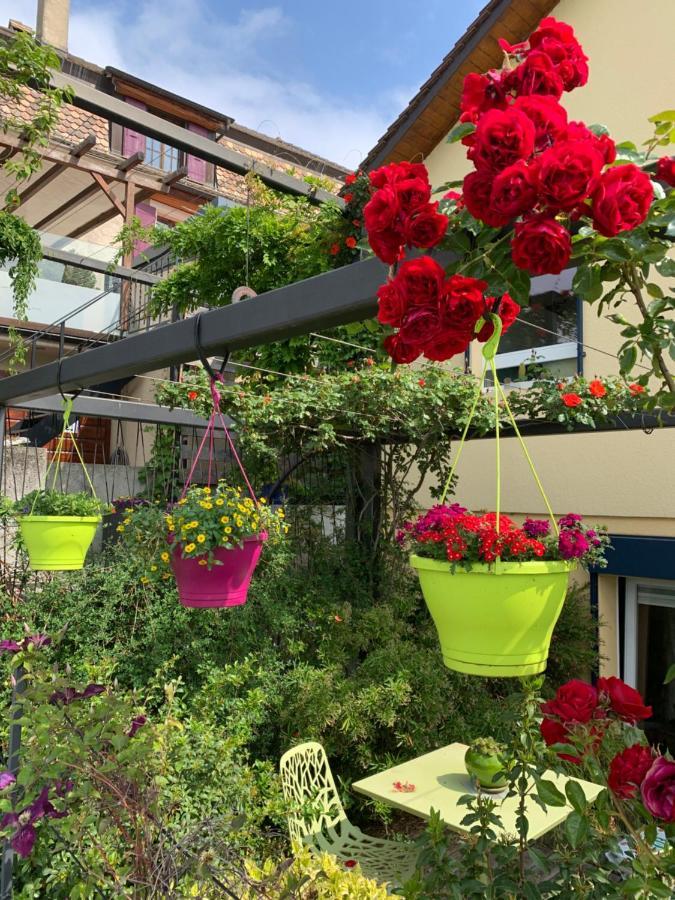 La Gremillette Gourmande Lavaux Apartment Rivaz Екстериор снимка