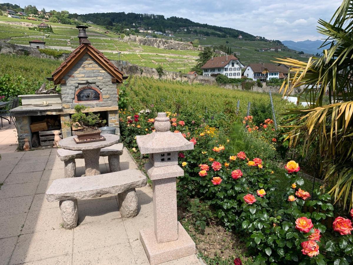 La Gremillette Gourmande Lavaux Apartment Rivaz Екстериор снимка