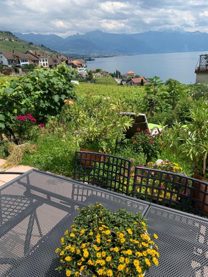 La Gremillette Gourmande Lavaux Apartment Rivaz Екстериор снимка