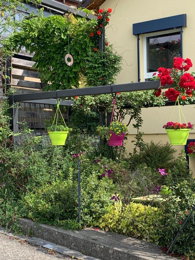 La Gremillette Gourmande Lavaux Apartment Rivaz Екстериор снимка