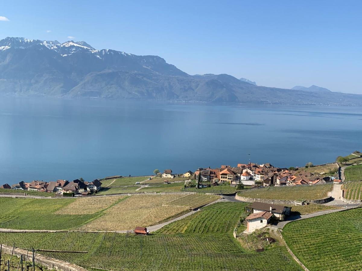 La Gremillette Gourmande Lavaux Apartment Rivaz Екстериор снимка