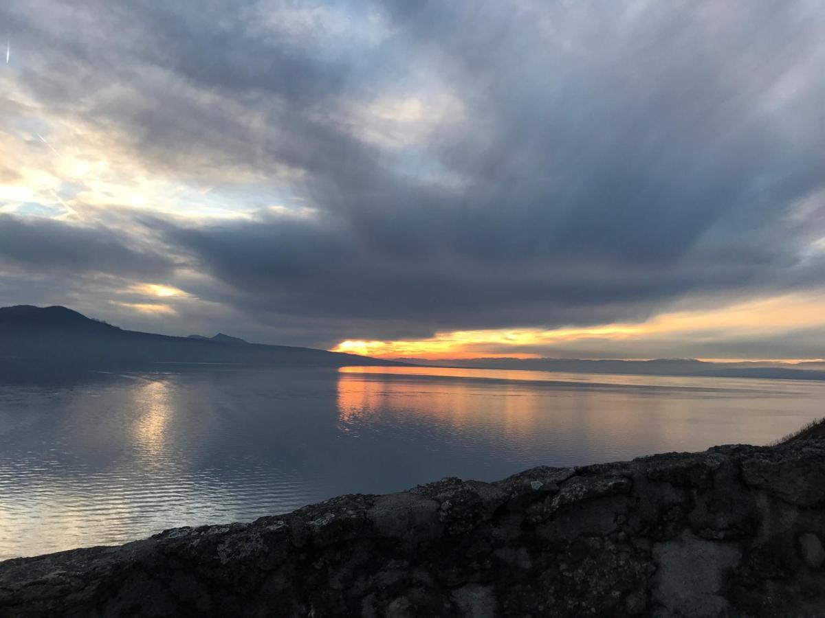 La Gremillette Gourmande Lavaux Apartment Rivaz Екстериор снимка