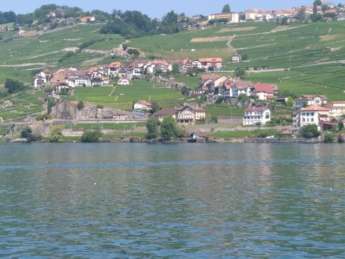 La Gremillette Gourmande Lavaux Apartment Rivaz Екстериор снимка