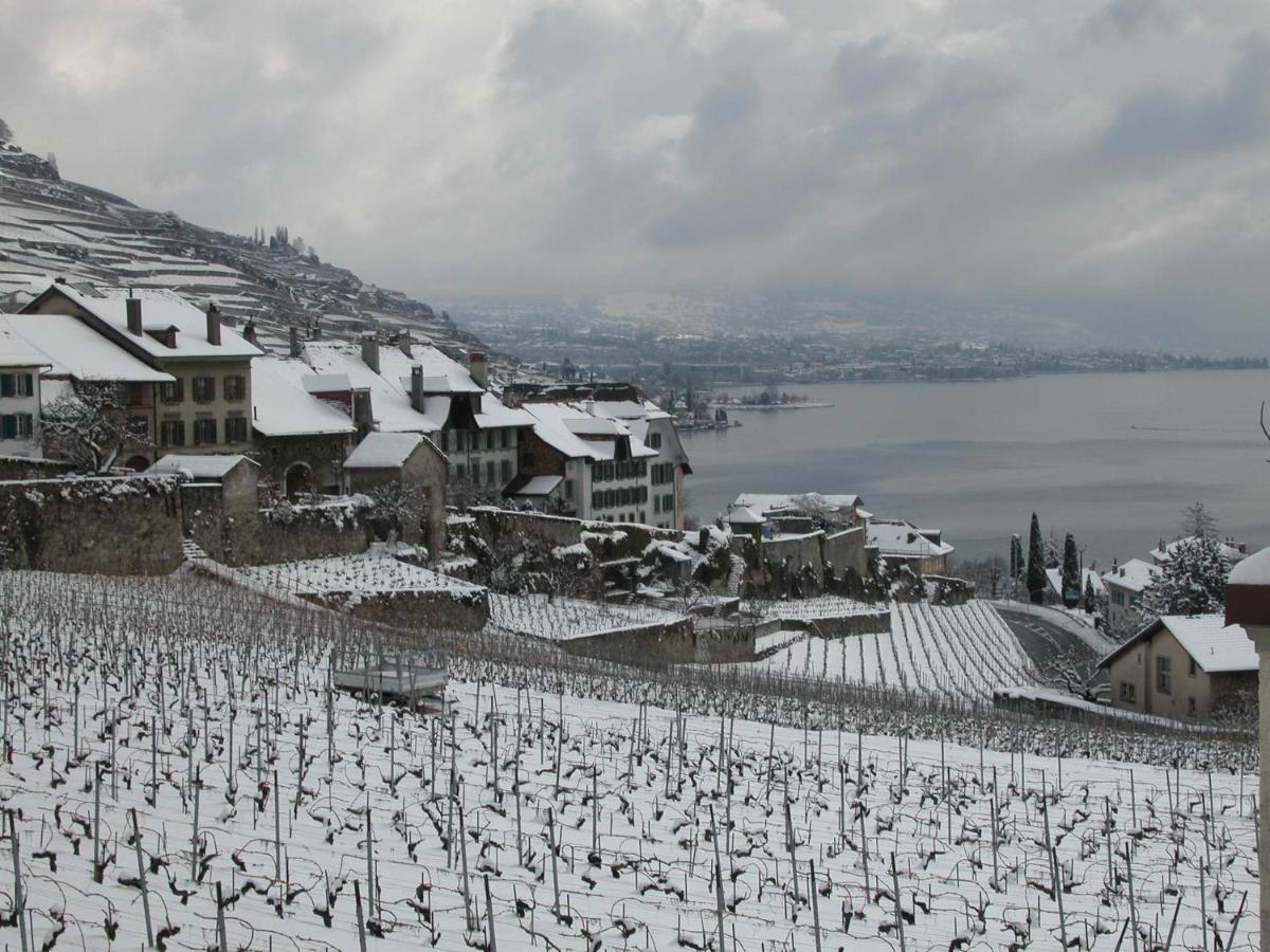 La Gremillette Gourmande Lavaux Apartment Rivaz Екстериор снимка