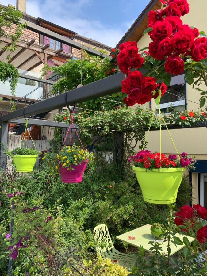 La Gremillette Gourmande Lavaux Apartment Rivaz Екстериор снимка